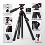 Freewell Carbon Fiber Real Travel Tripod | Xtreme.sk
